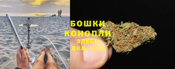 mdpv Бородино