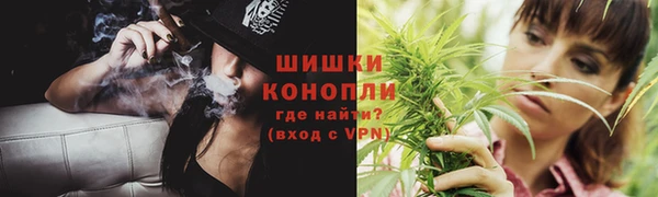 mdpv Бородино