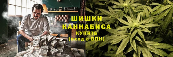 mdpv Бородино