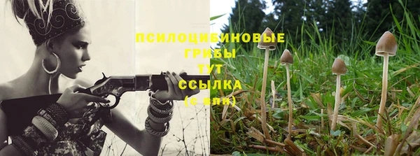 mdpv Бородино