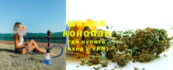 mdpv Бородино