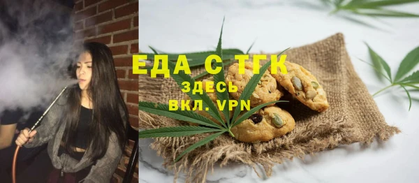 mdpv Бородино
